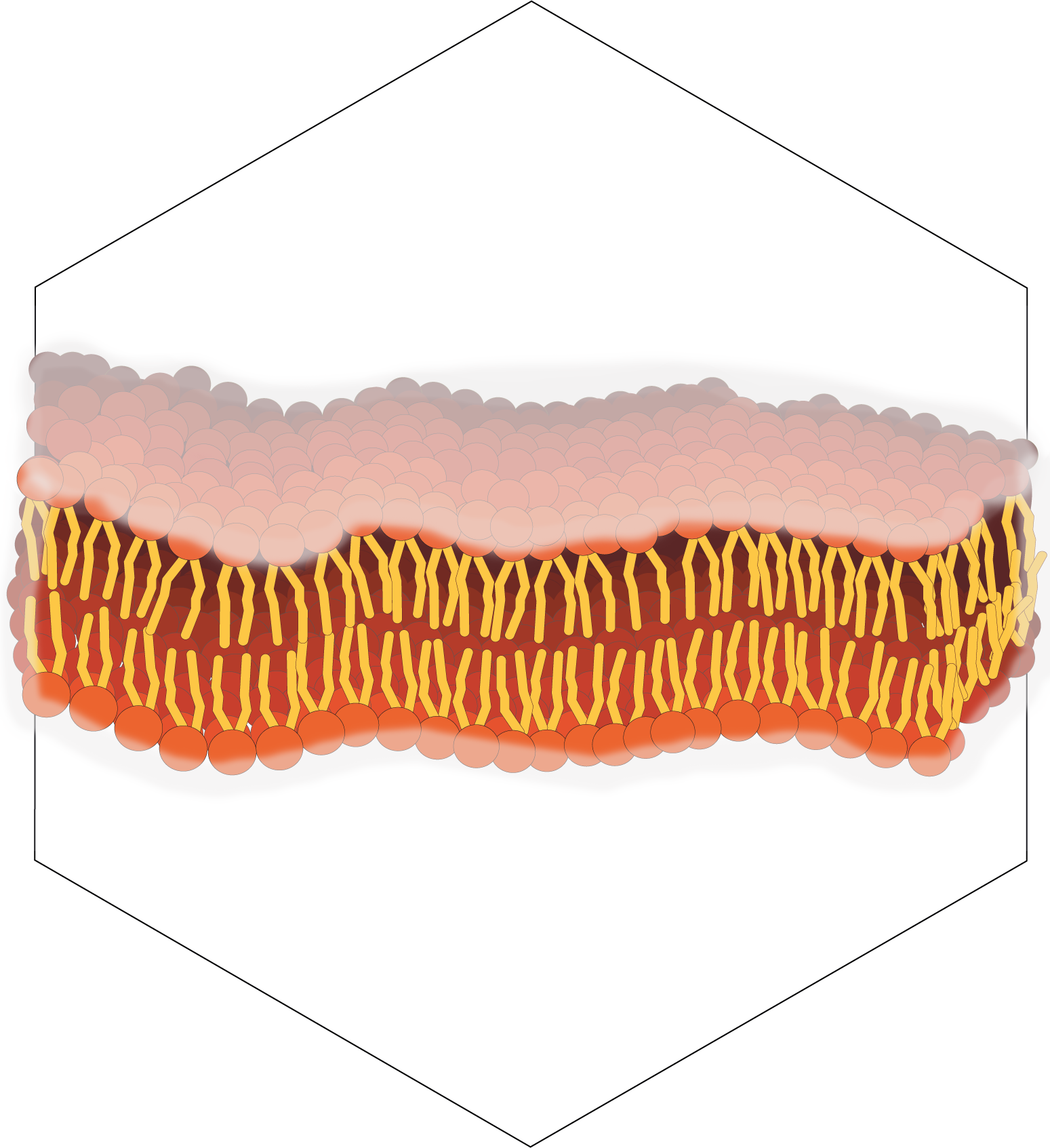 Neuentwickete biomimetische Barriere PermeaPad Barrier